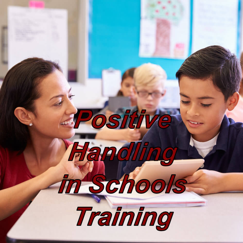 Positive handling in schools online training course