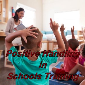 Positive Handling in Schools online training course