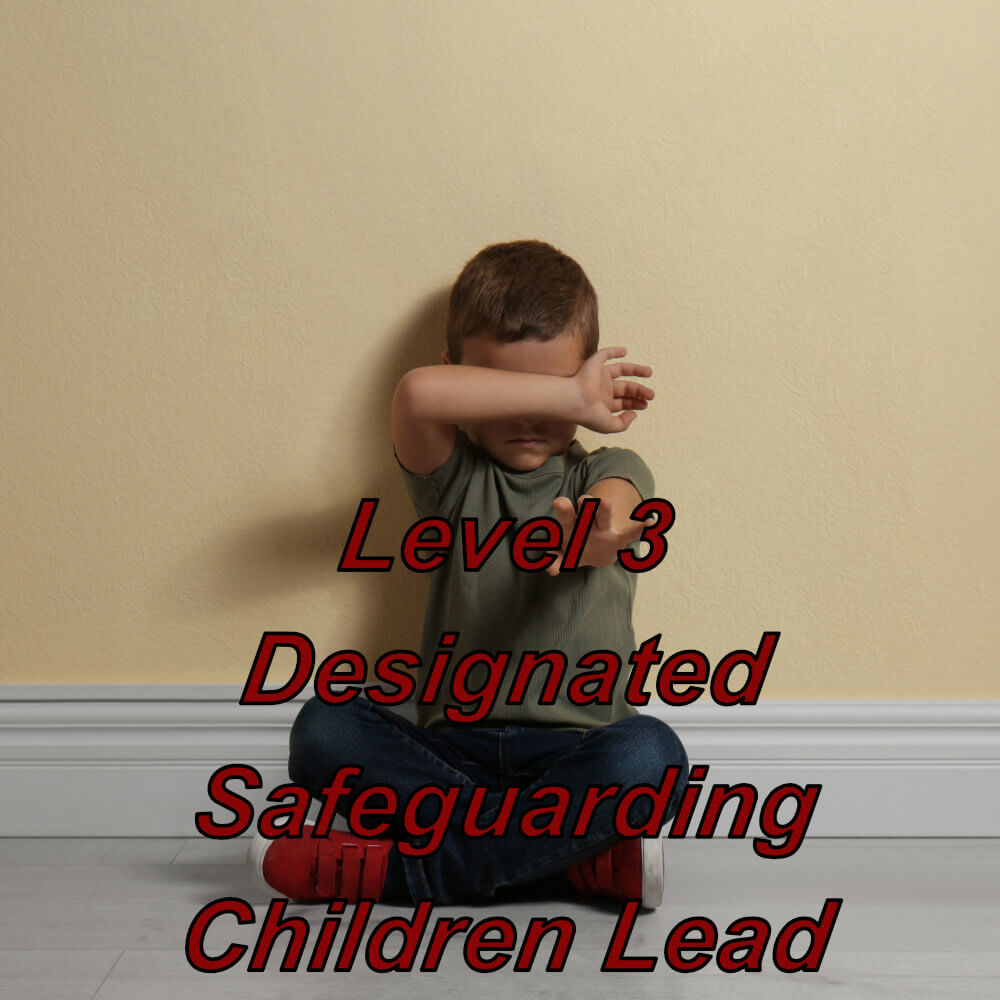 Dedicated safeguarding children lead, level 3 online training course